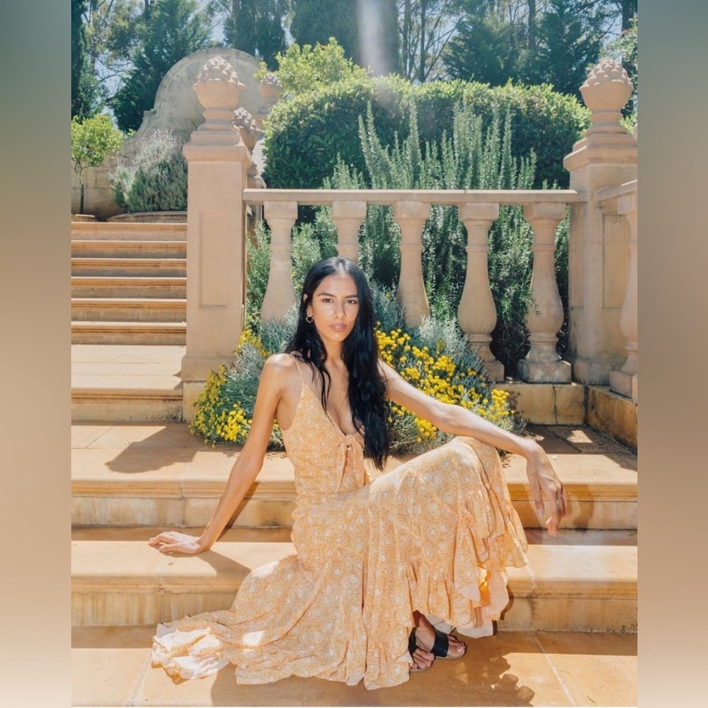 Shona Joy dress